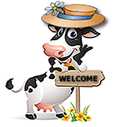 Cow Welcome 2